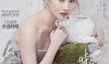 l刘亦菲台湾爆料视频,揭秘娱乐圈背后的真相